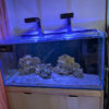 Thumbnail of new posts 027